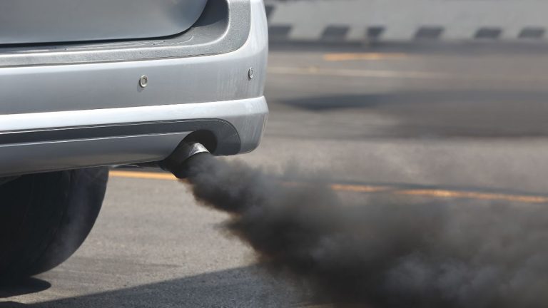 New European Union Regulations Will Increase Car Prices Unrelated to Carbon Emissions