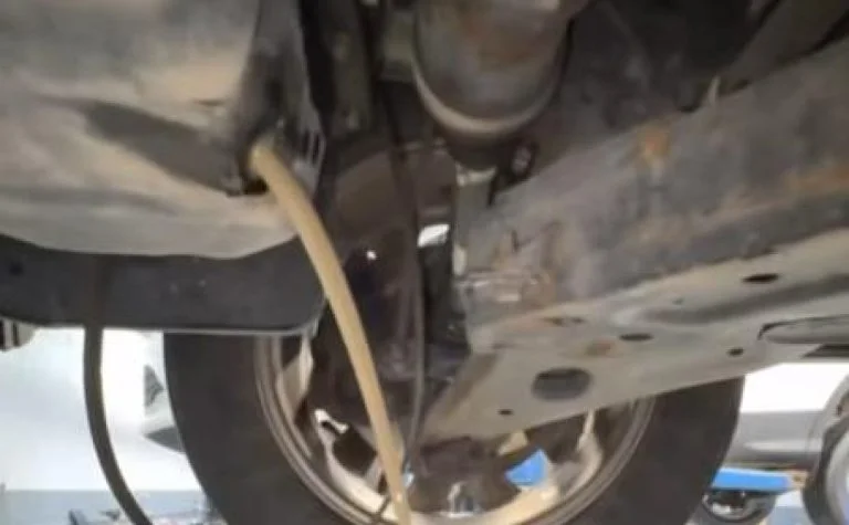 Driver Brought Car for Oil Change and Mechanic Could Not Believe What Came Out of the Engine
